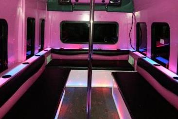 Party Bus Rental Hudson 